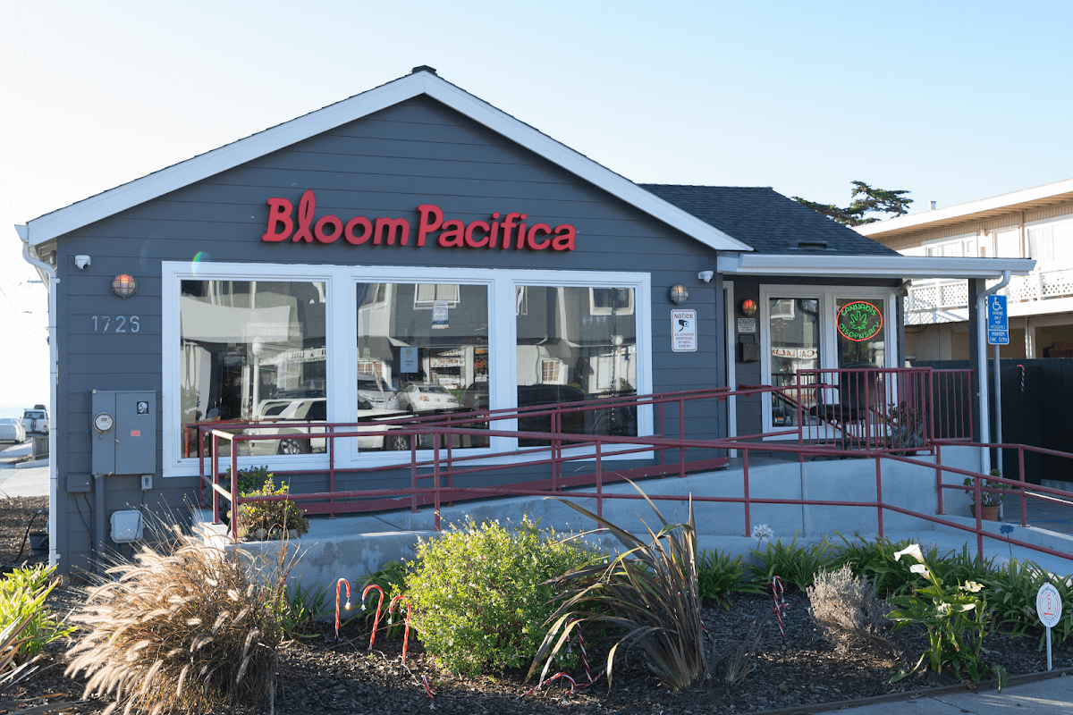 Bloom Room