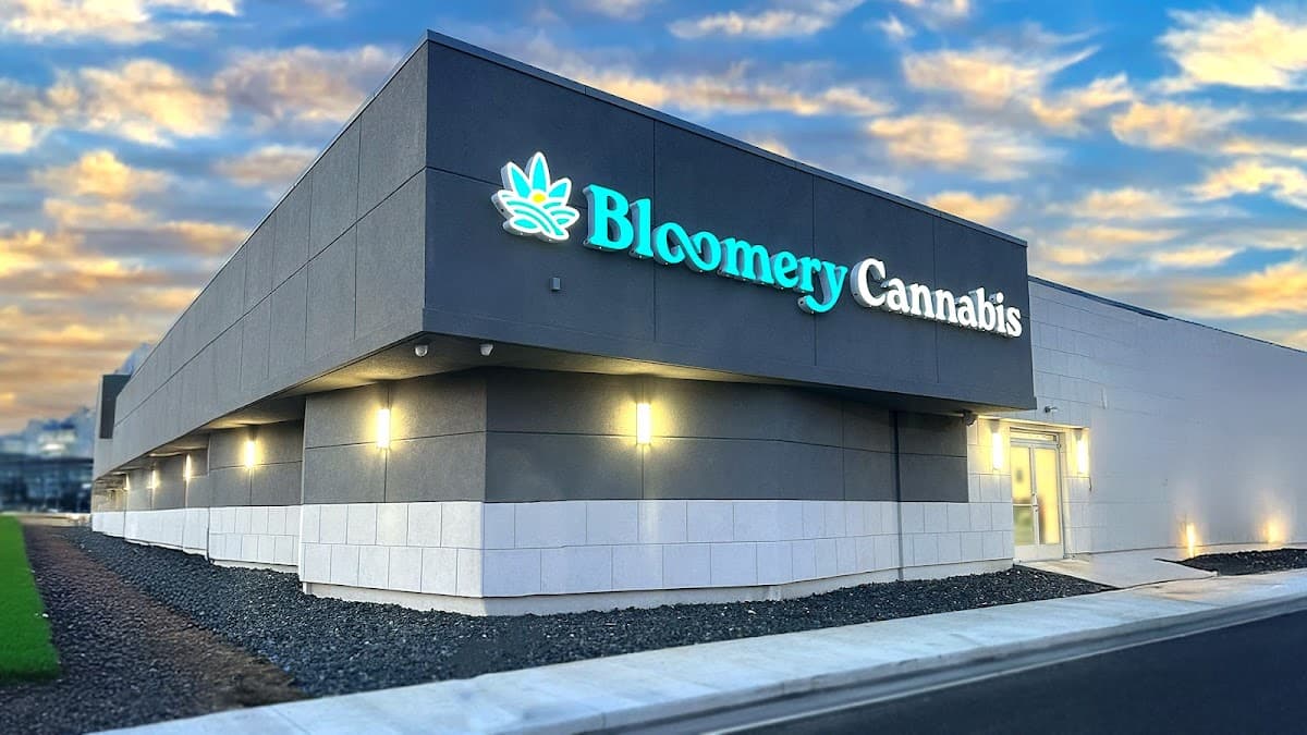 Bloomery Cannabis Mt. Clemens