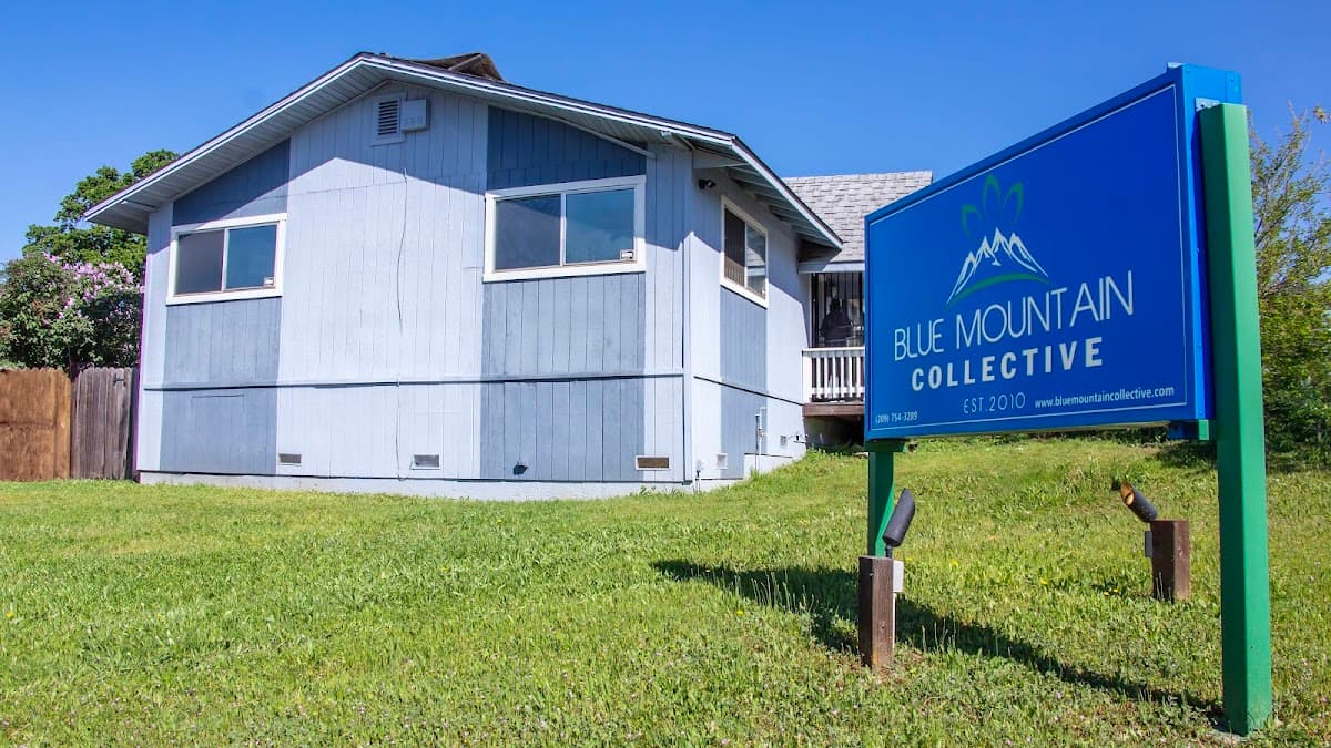 Blue Mountain Collective, INC.