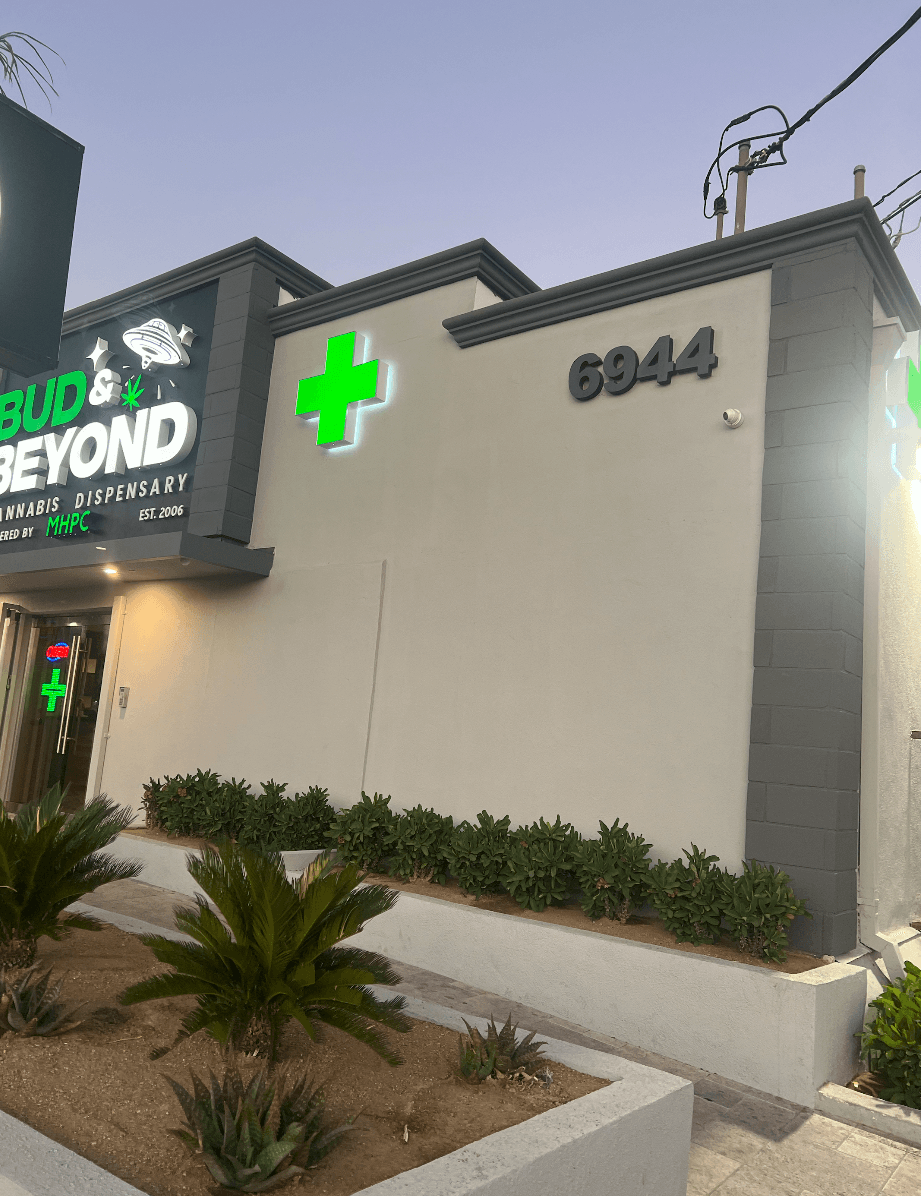 Bud And Beyond