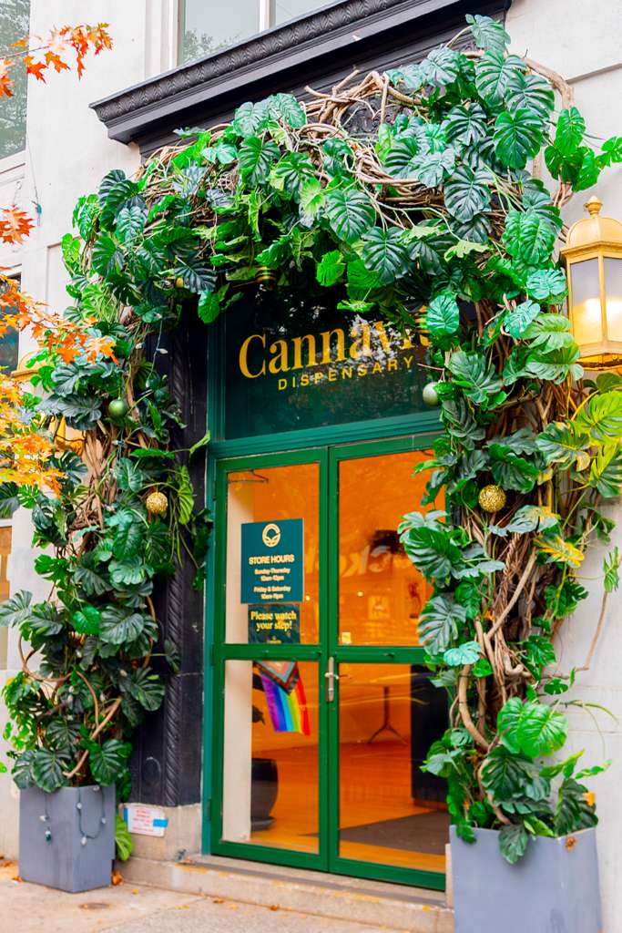 Cannavita