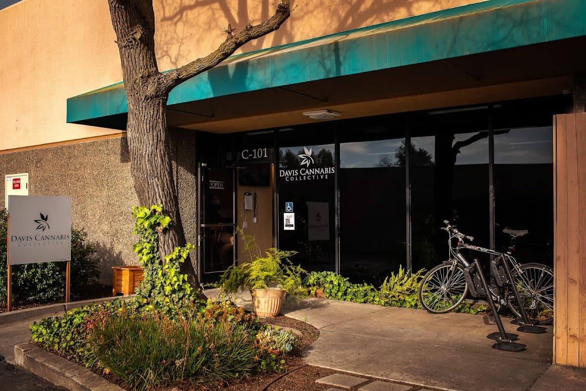 Davis Cannabis Collective