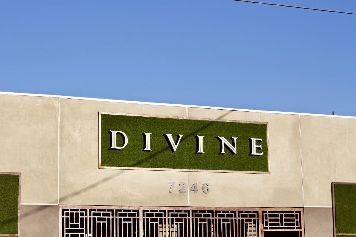 Divine Wellness Center, INC.