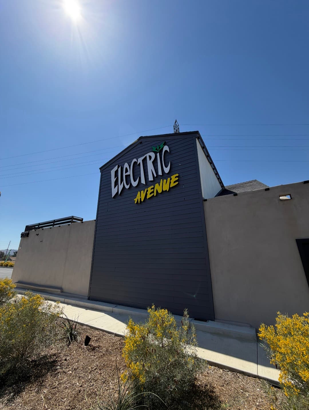 Electric Ave. Holdings
