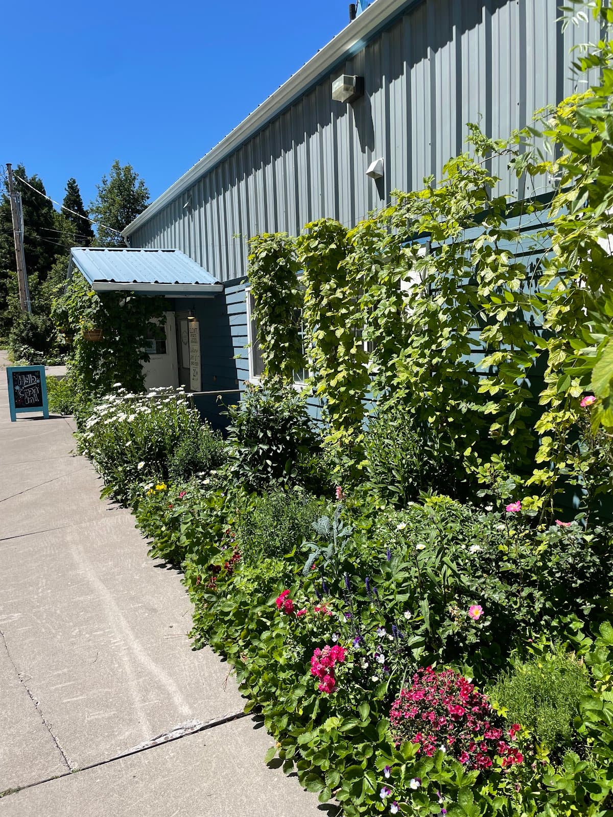Elevate Shasta Wellness