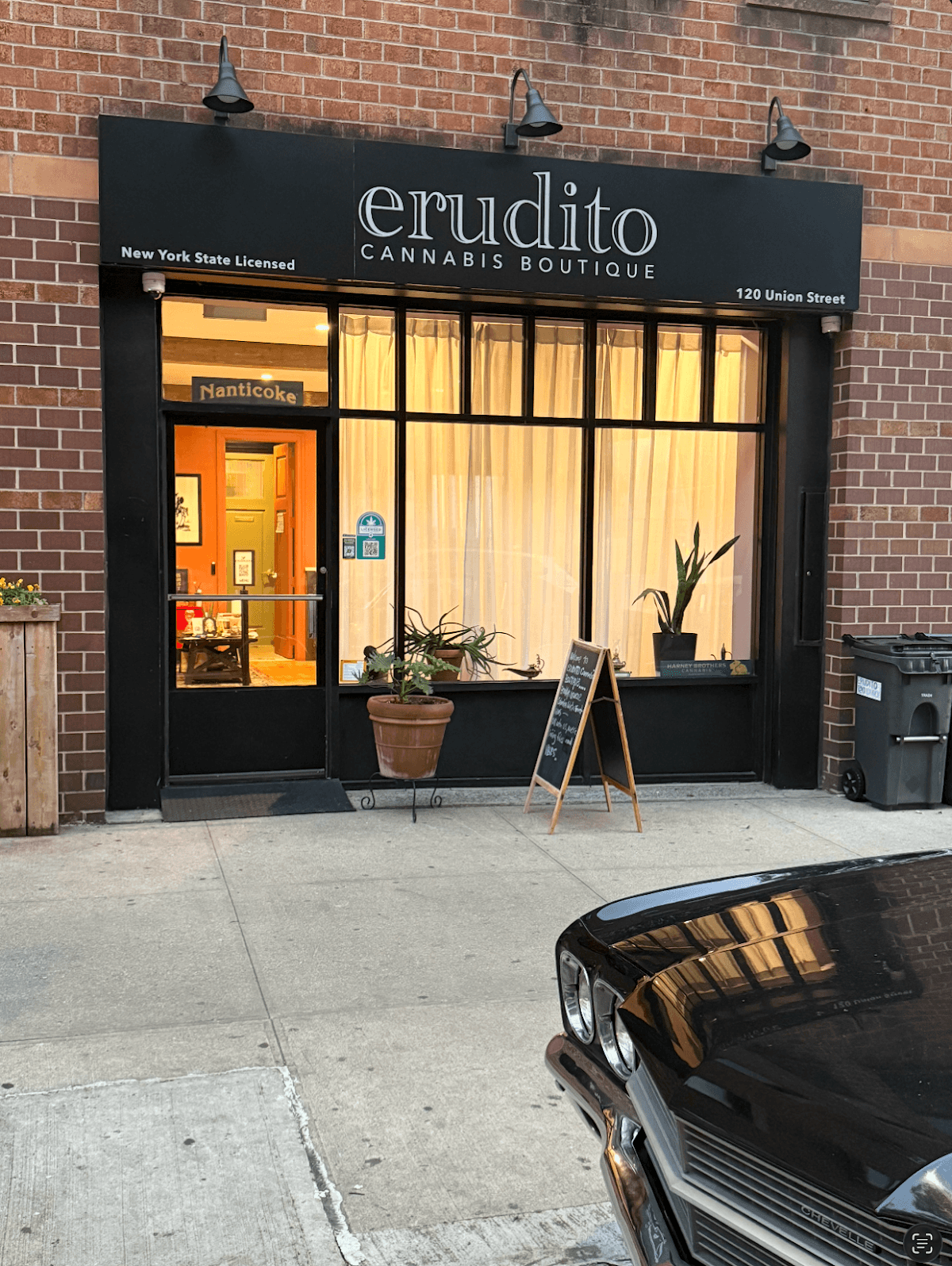 Erudito Cannabis Boutique