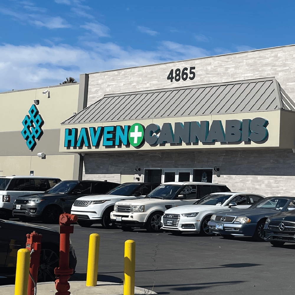 Haven