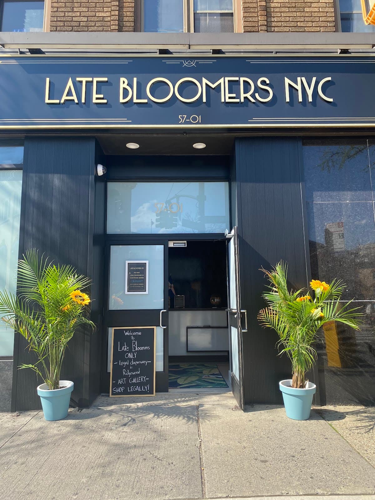 Late Bloomers Nyc LLC