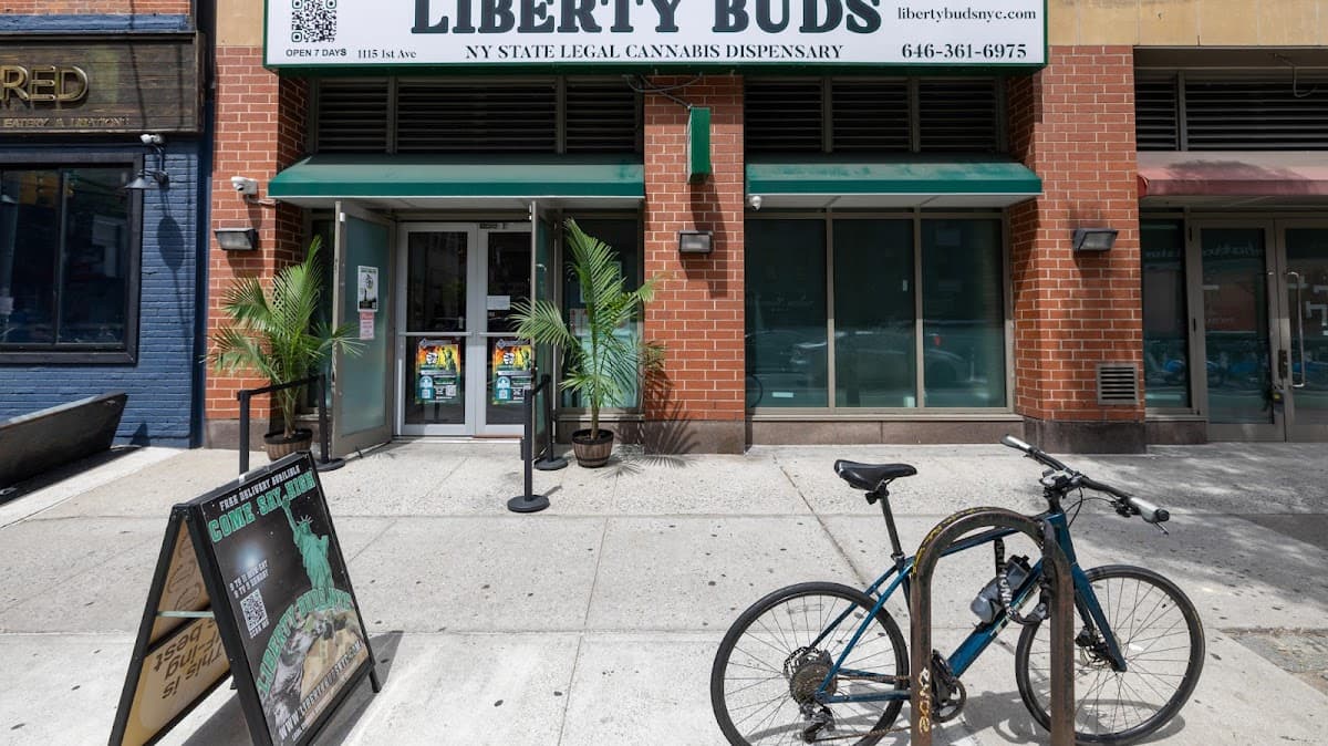Liberty Buds