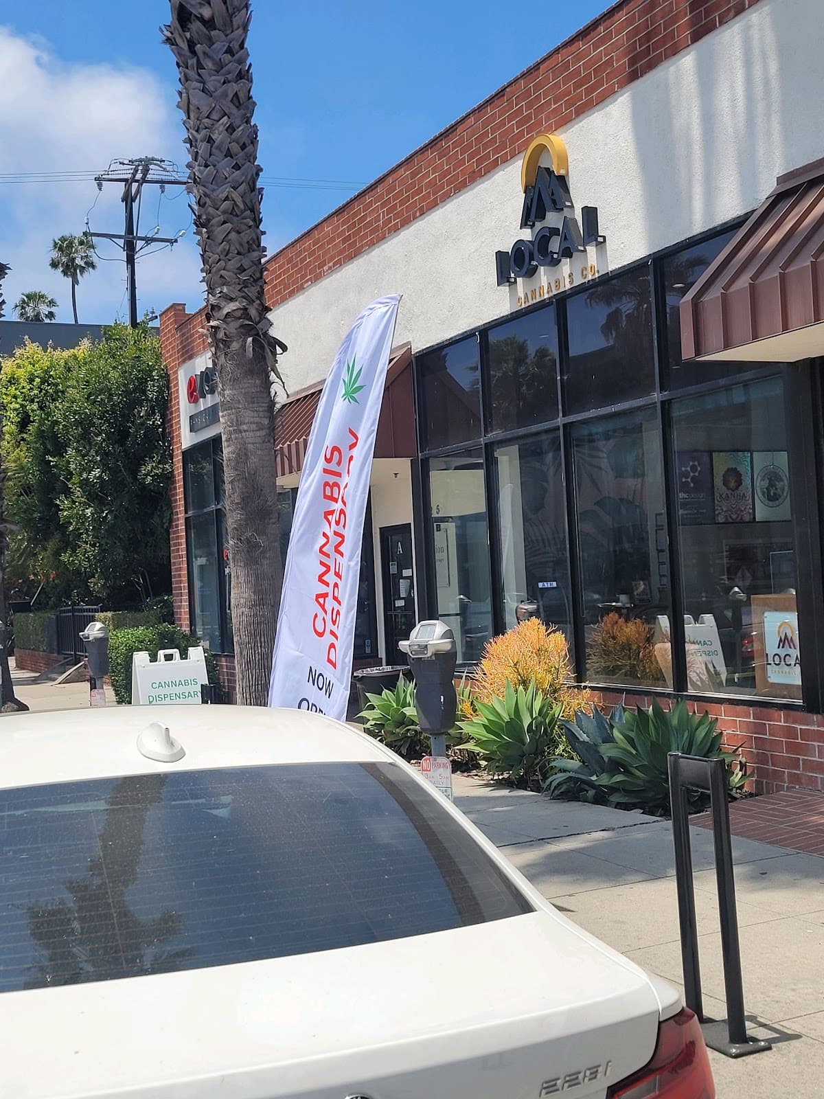 Local Cannabis Company