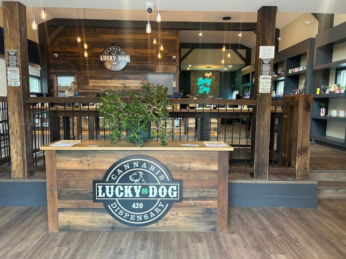 Lucky Dog 420