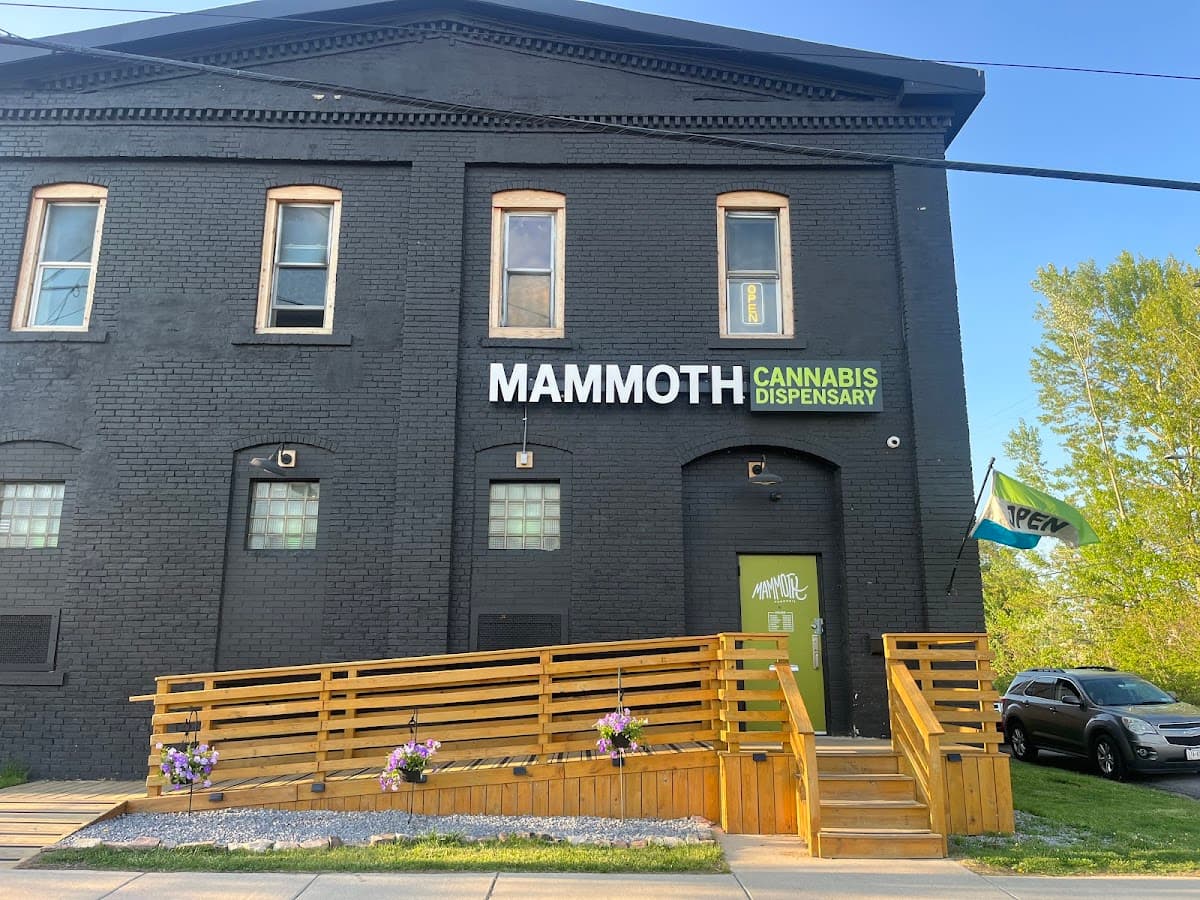 Mammoth Cannabis