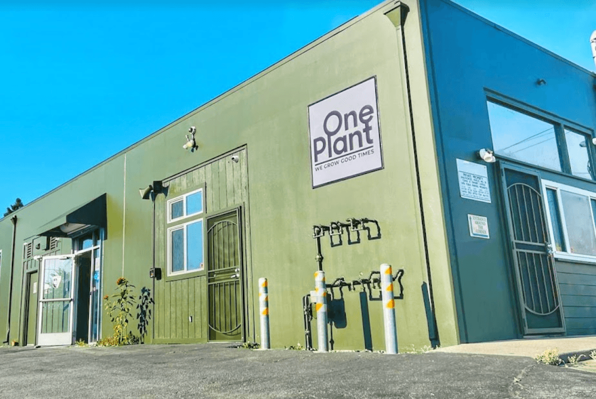 One Plant Santa Cruz