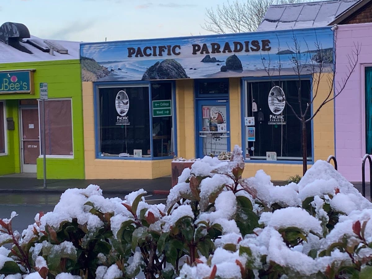 Pacific Paradise