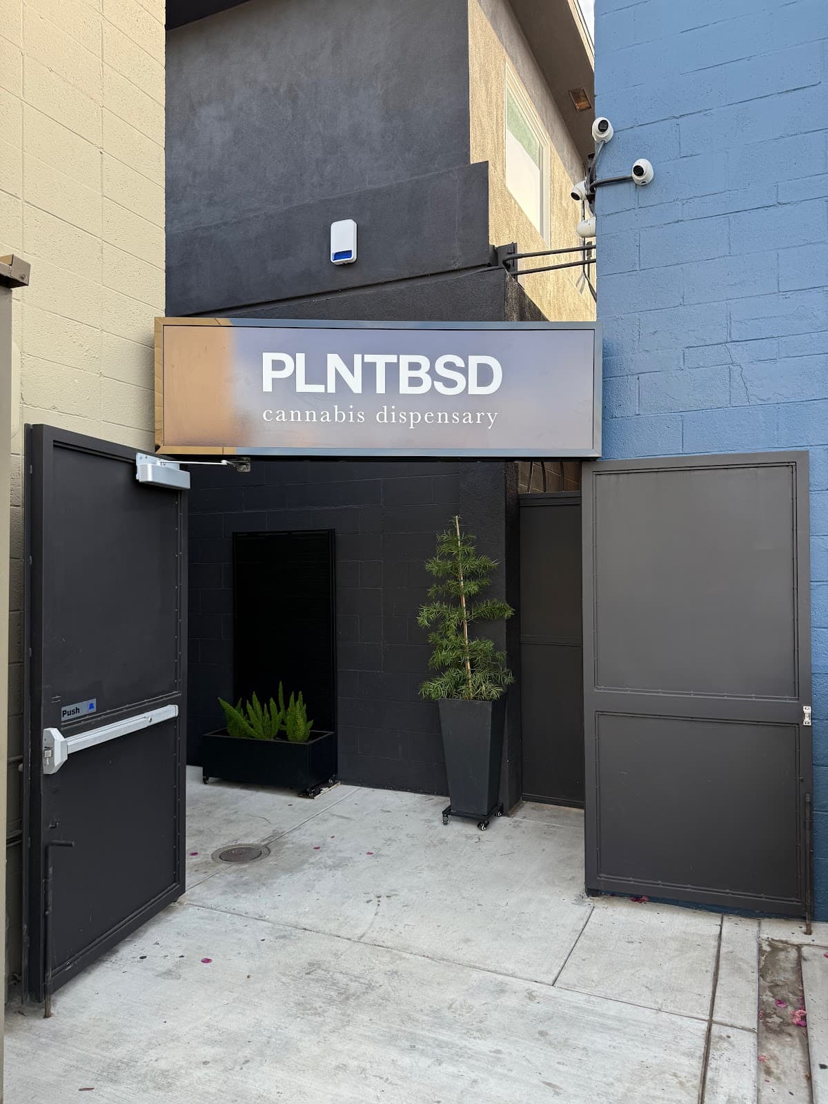 Plntbsd [Equity Retailer]