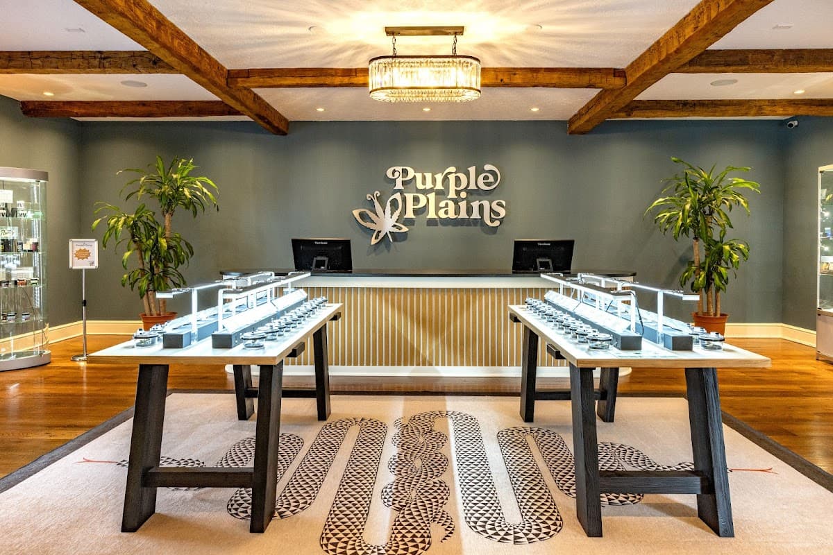 Purple Plains