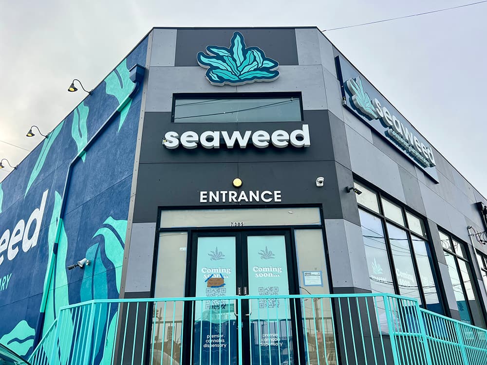Seaweed Rbny