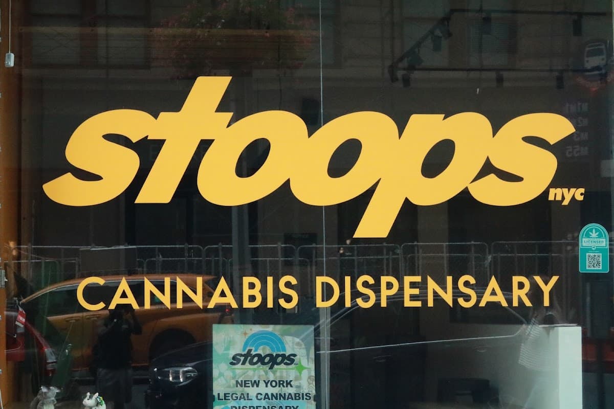 Stoops Nyc