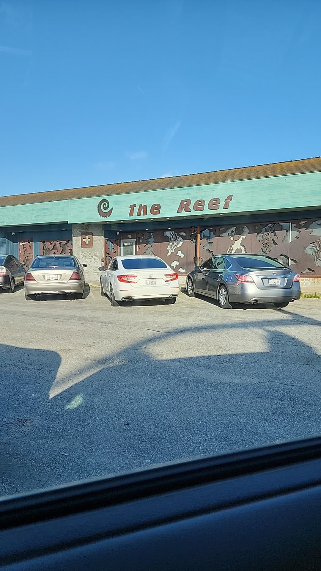 The Reef