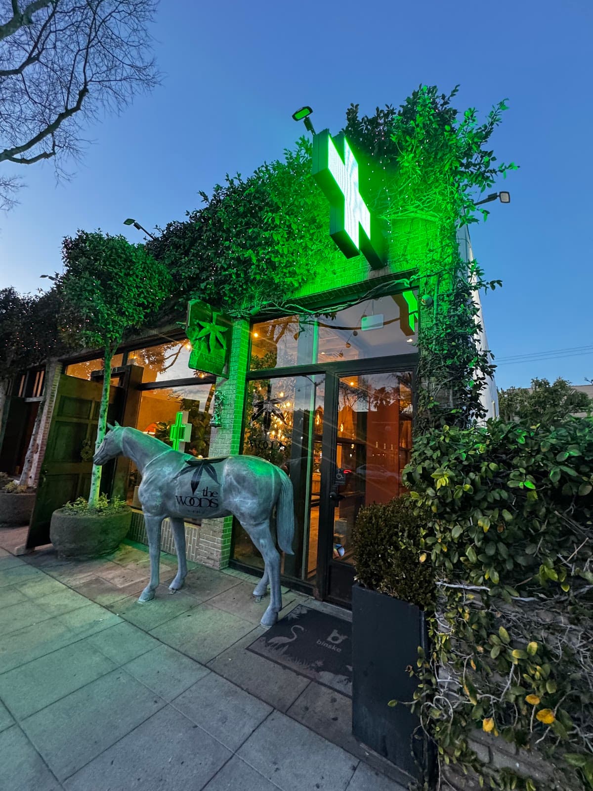 The Woods Weho
