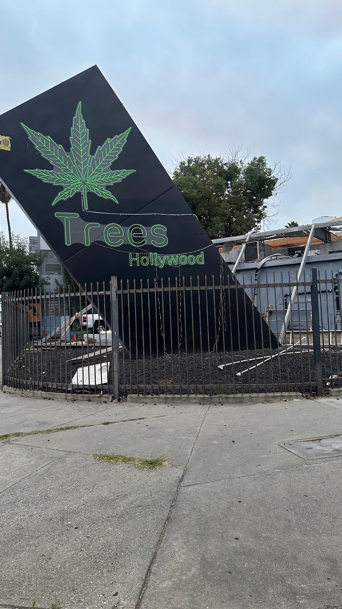 Trees Hollywood [Equity Retailer]